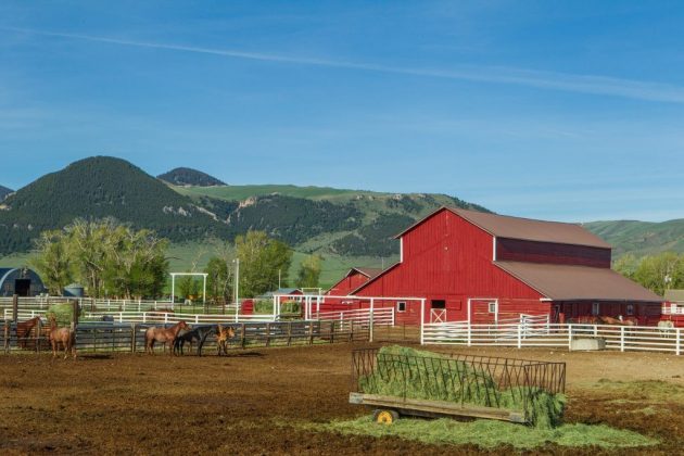 Revealed: The two Montana ranches that topped the world’s biggest real